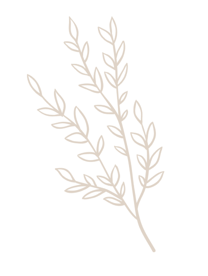 flower image